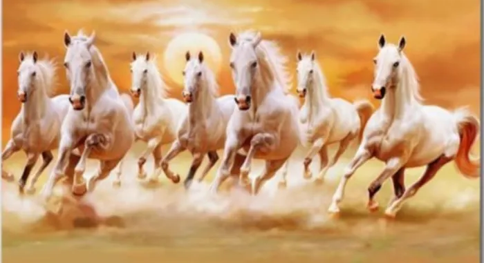 HORSES