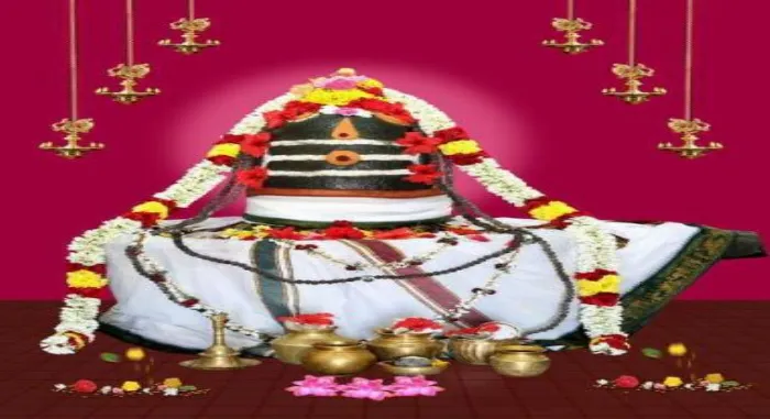 History of the venerable Payaraneeswarar Temple in Udayarpalayam!